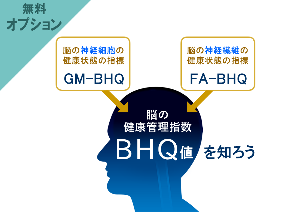 BHQ脳ドック